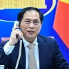 越南外交部长裴青山同叙利亚政府外交部长费萨尔·梅克达德通电话