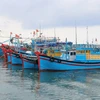 解除IUU“黄牌”：越南槟椥省渔民守法意识日益提升