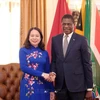 越南与南非建交30周年：积极发挥两国良好的传统关系