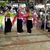 和平省枚州县泰族同胞的传统杵槽舞