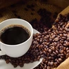 越南对德国咖啡出口量额双增