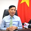 越南驻马来西亚大使丁玉玲：越南通过文化外交向马来西亚人民成功展现国家形象