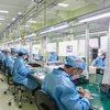 岘港微芯片设计和人工智能研究培训中心正式成立