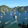 下龙湾跻身2024年全球25个最佳旅游目的地榜单