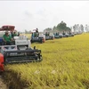 2023年越南农业创下多项纪录
