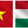 越南政府总理范明政访问匈牙利：为两国全面伙伴关系注入新动力