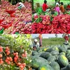 越南更多农产品有机会进入中国市场