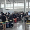胡志明市新山一国际机场运作效率达到最高水平