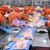 中国香港成为越南最大肉和肉制品出口市场