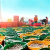 至2030年越南渔业资源保护与开发国家计划获批