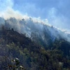 老街市采取措施防止森林火灾蔓延
