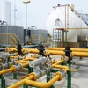 韩国E1公司将在广宁省建设液化石油气冷储罐库