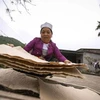 越南和平省芒族人楮纸制造业 承载独特文化内涵 