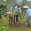 越南谅山省：居民履行村规民约 致力于森林保护工作 