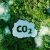 碳排放权交易体系培训班开班