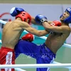 越南平定省即将承办2024年亚洲自由搏击锦标赛