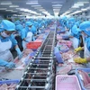 2024年越南查鱼有望实现出口额达20亿美元的目标