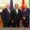 越南外交部部长裴青山同爱尔兰参众两院议长 同外交部部长举行会见会谈