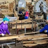 越南着力为木材加工业创造具有可持续性的原材料
