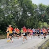 近2400名运动员参加2024年探索广平省马拉松赛