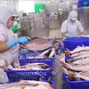 今年前两个月中国是越南查鱼最大出口国