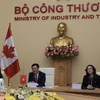 越南与加拿大经济混合委员会：促进贸易投资合作