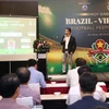 巴西-越南足球节即将在越南岘港市举行