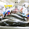 越南金枪鱼产品远销80个海外市场