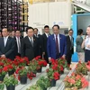 越南国会主席王廷惠参观中国云南省典型经济模式