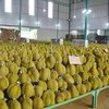 越南一系列农产品正成为国际市场上的“热门”商品