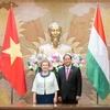 提高越匈两国各项合作协议效果