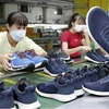 越南跻身全球三大鞋类出口国之列