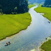 组图：观赏宁平省三谷绿稻田的美丽