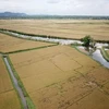 越南农业超额完成全年目标 
