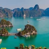 越南下龙湾和古芝地道跻身世界最具吸引旅游目的地名单