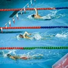 组图：越南游泳队为东运会积极锻炼 面向摘下8枚金牌目标