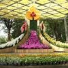 2019年大叻花卉节将于12月20日至24日举行