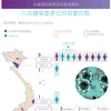 图表新闻：新冠肺炎疫情：在越南的六名患者已治愈出院