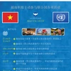 图表新闻：越南积极主动参与联合国各项活动