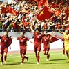 助推越南体育发展