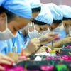 越南对工业投资进行考察