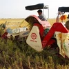 越南呼吁私人向农业领域投资