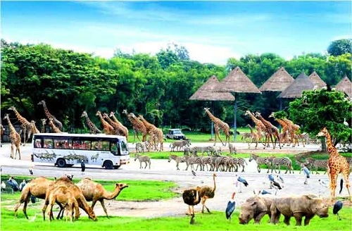 Phu Quoc to have first wild animal conservation park | Vietnam+ ...