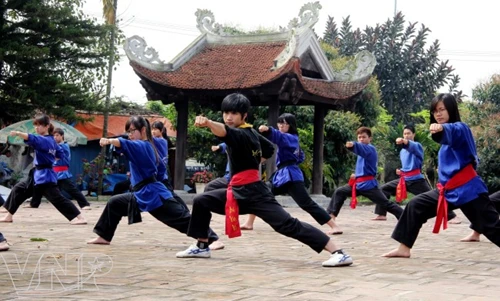 First World martial art championship takes place in HCM City | Vietnam+ ...