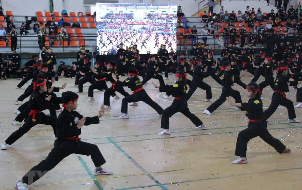 Outstanding fighters named at martial arts festivals | Vietnam+ ...