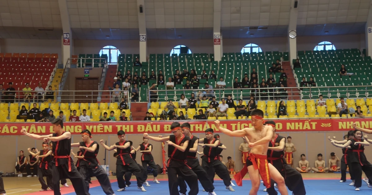 Martial arts exchange between Vietnamese, French provinces | Vietnam+ ...