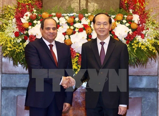 High Level Visits To Shape Basis For Stronger Vietnam Egypt Ties Vietnam Vietnamplus 9334