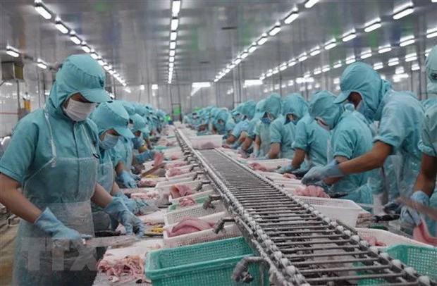 Vietnam concerned about Brazil’s rules on aquatic imports | Vietnam+ ...