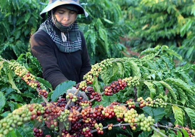 RoK, Japan look to boost agricultural exports to Vietnam | Vietnam+ ...