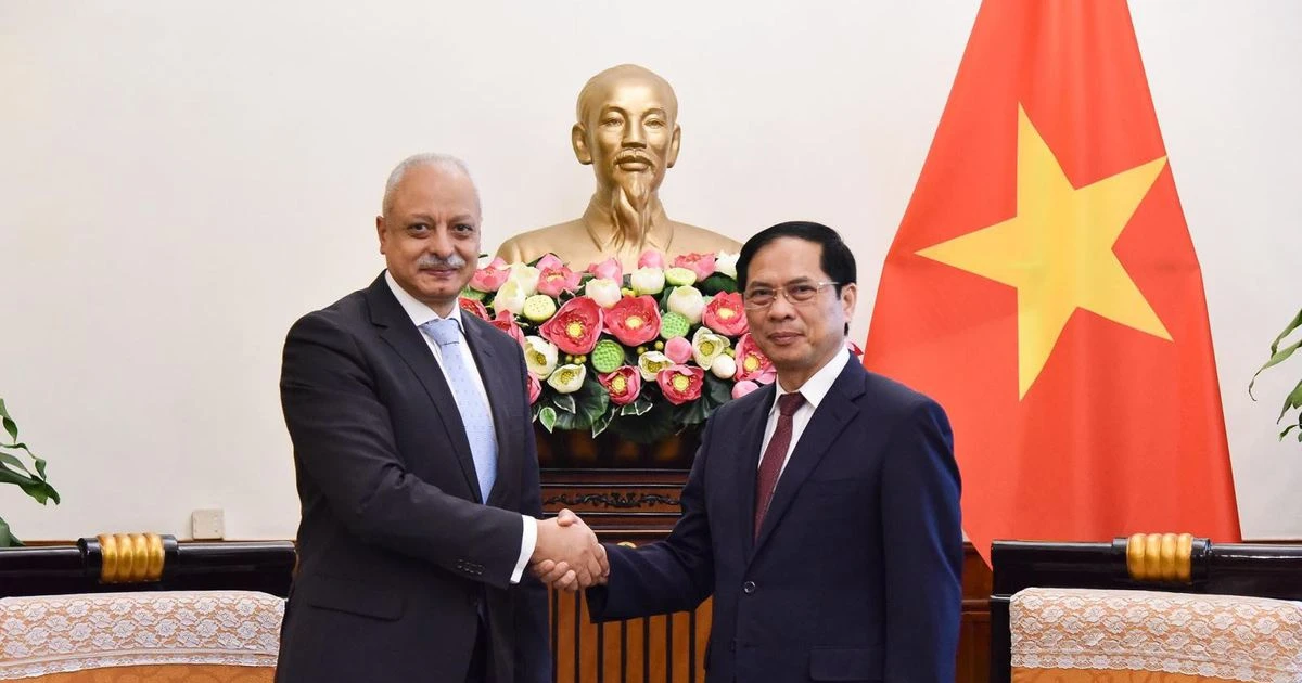 Vietnam Aims To Reinforce Relations With Egypt Fm Vietnam Vietnamplus 7780